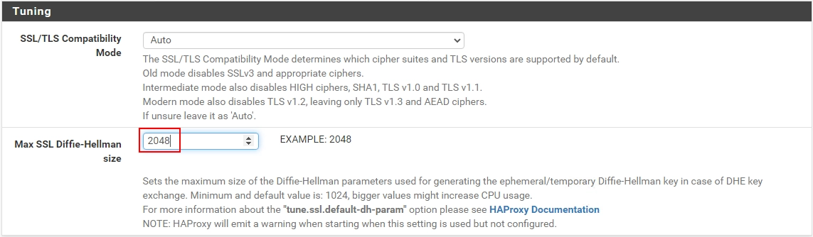 Max SSL Diffie-Hellman size à 2048